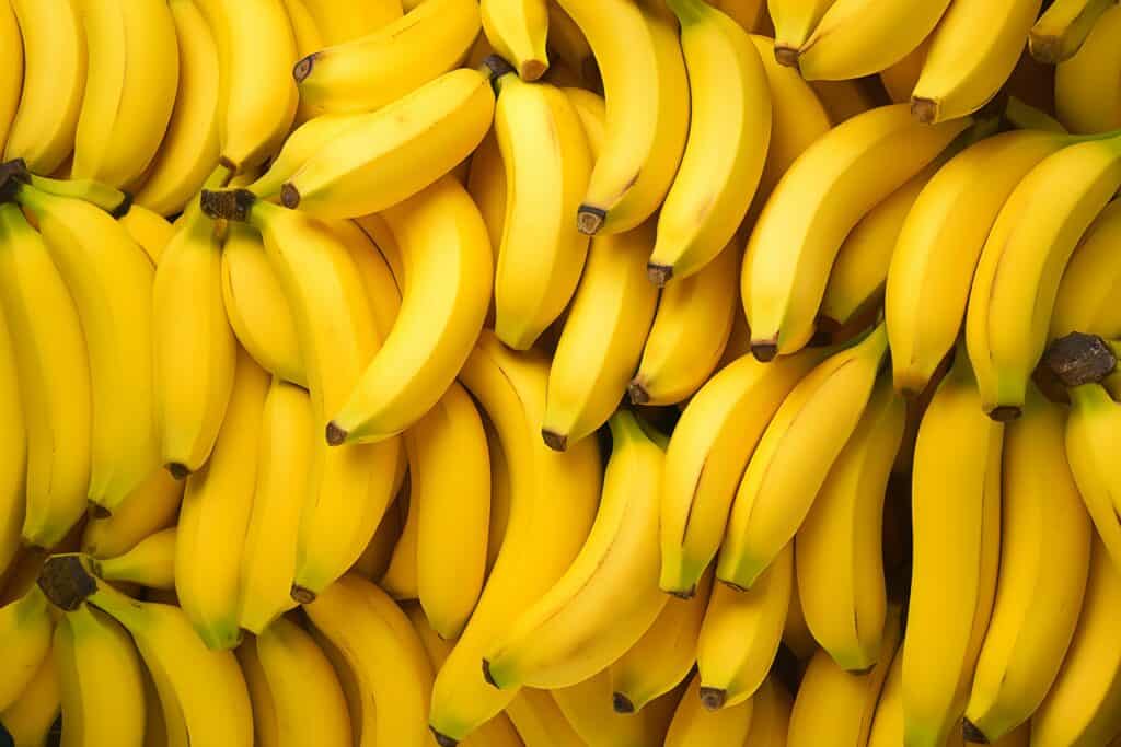 Comment faire manger la banane à bébé ?