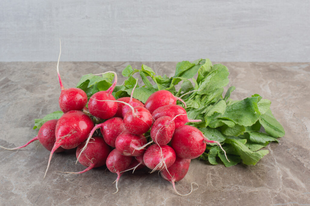 How to offer baby radish?